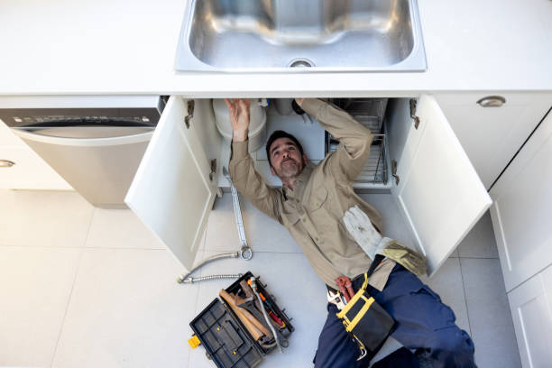 Best Local Plumber Services  in Hollidaysburg, PA